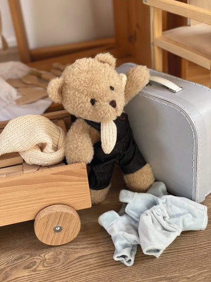 Morris Teddy with Clothes In A Case