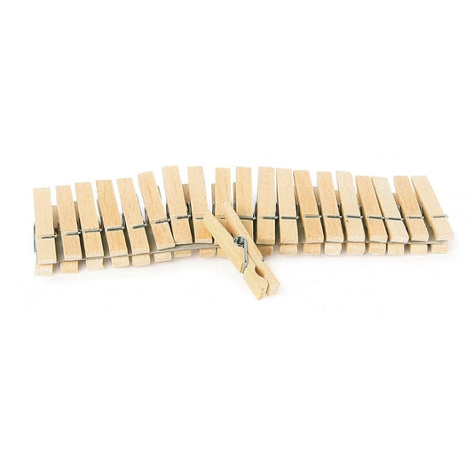 Pegs Small (100 Pieces)